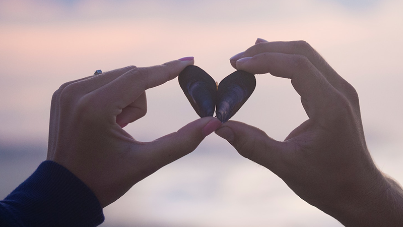 La importancia del perdón en las relaciones de pareja: Sanando heridas emocionales