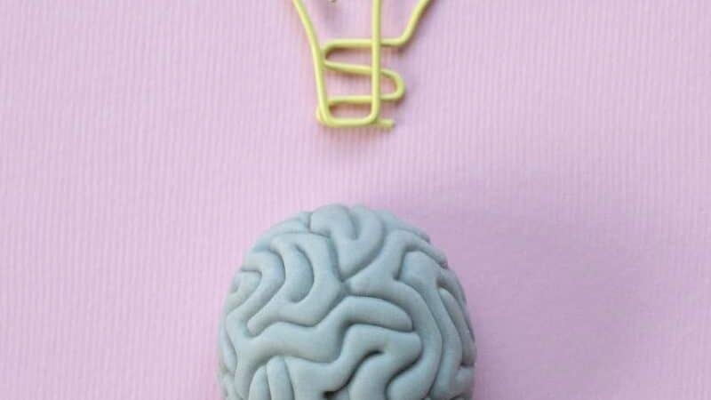 Desarrollo neurológico en la adolescencia